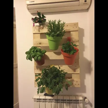 Casa Vucciria Appartement Palermo